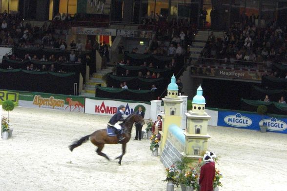 Pappas Amadeus Horse Indoors 2008 - 