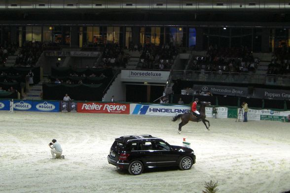 Pappas Amadeus Horse Indoors 2008 - 