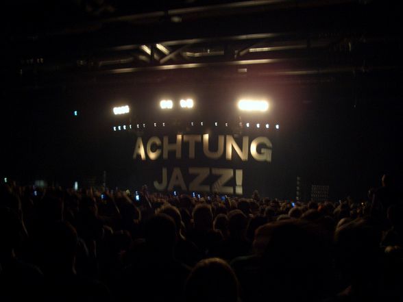 Ärzte Konzert Passau - 