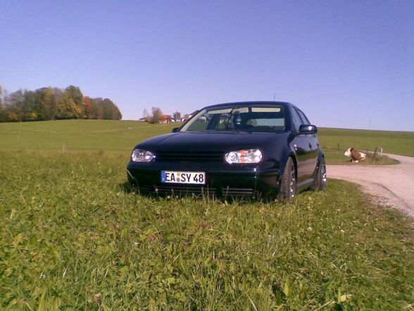 My Car - 