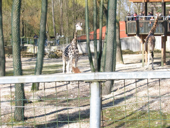 Zoo Schmiding - 