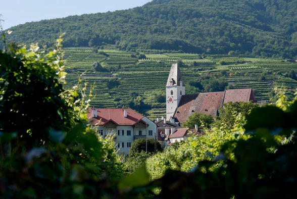 Wachau - 