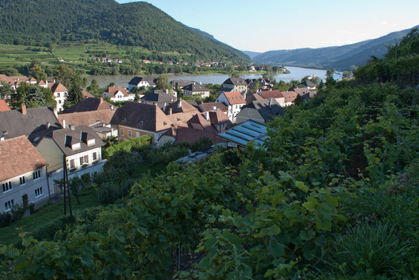 Wachau - 