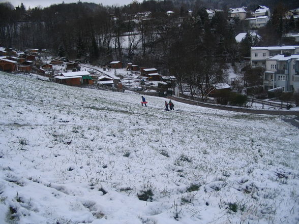 schneeflöckchen-weißröckchen - 