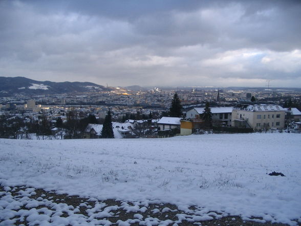 schneeflöckchen-weißröckchen - 