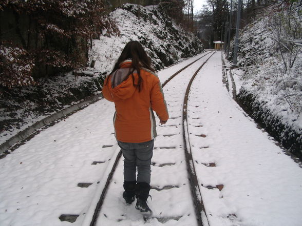 schneeflöckchen-weißröckchen - 