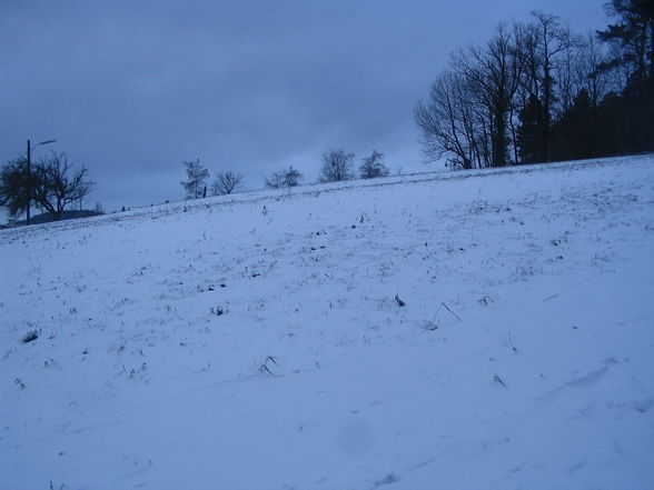 schneeflöckchen-weißröckchen - 