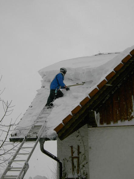 Schneechaos in Rohrbach 2006 - 