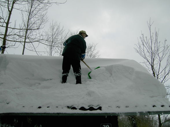 Schneechaos in Rohrbach 2006 - 