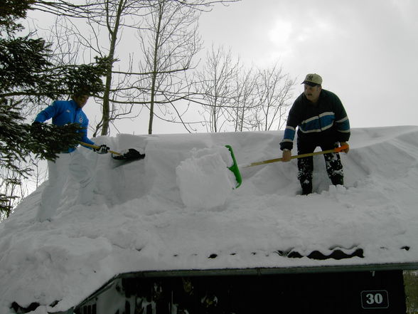 Schneechaos in Rohrbach 2006 - 