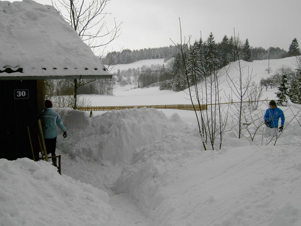 Schneechaos in Rohrbach 2006 - 