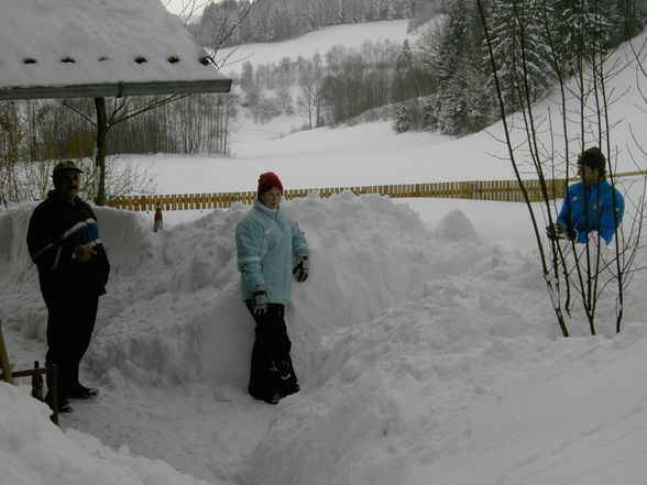 Schneechaos in Rohrbach 2006 - 