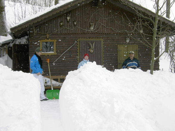 Schneechaos in Rohrbach 2006 - 