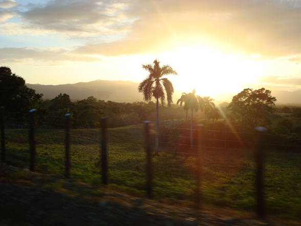 DomRep2oo8 - 