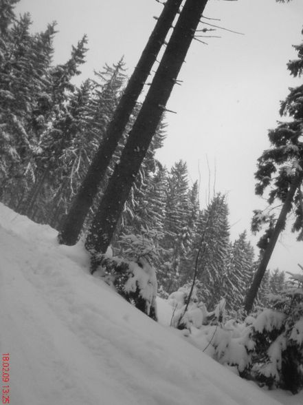 schneetreiben am tschechenstern - 