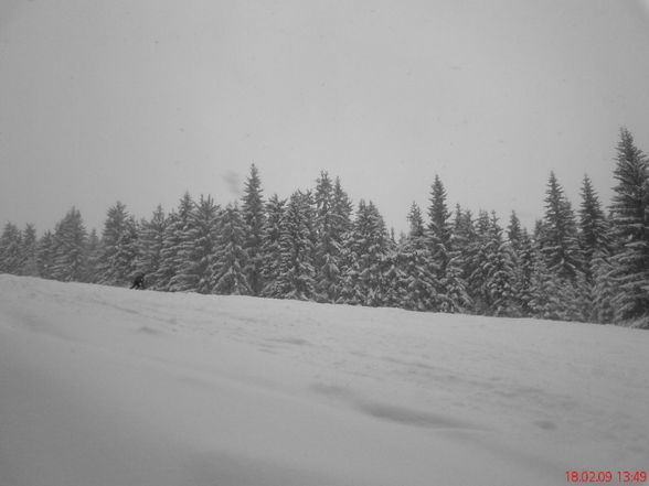 schneetreiben am tschechenstern - 