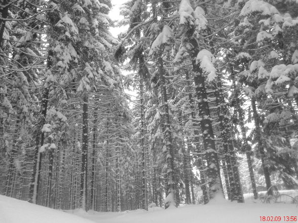 schneetreiben am tschechenstern - 