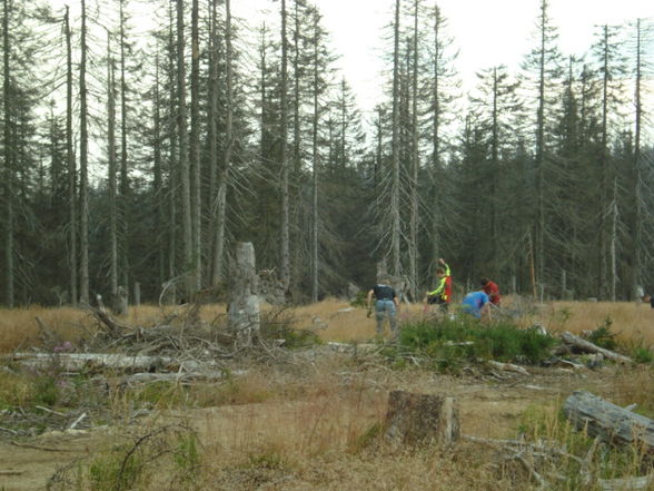 landjugend böhmerwald - 