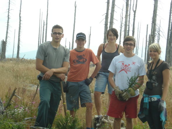 landjugend böhmerwald - 