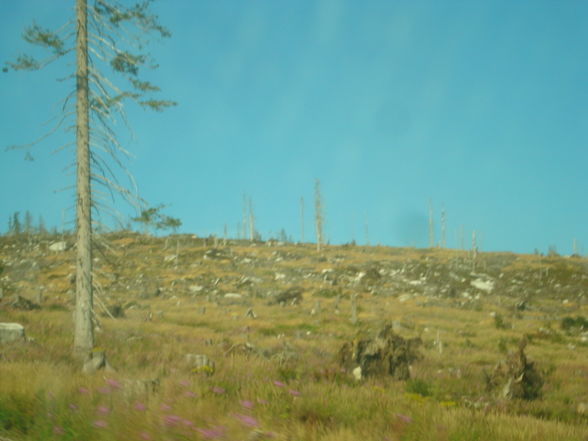 landjugend böhmerwald - 