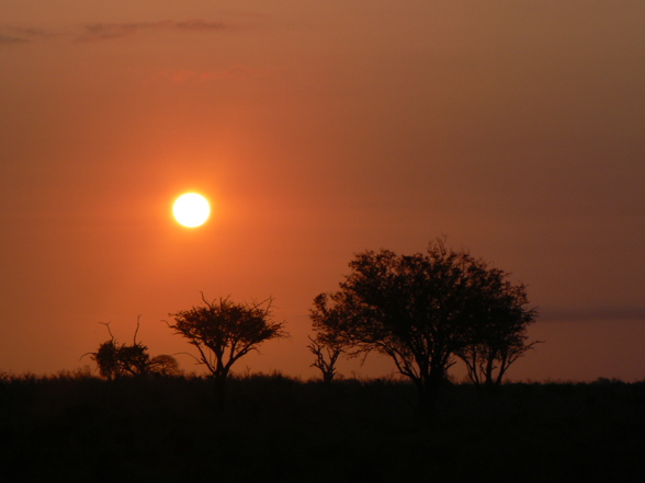 Afrika - 