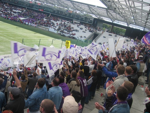 viola on tour - 