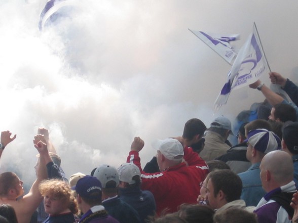 viola on tour - 