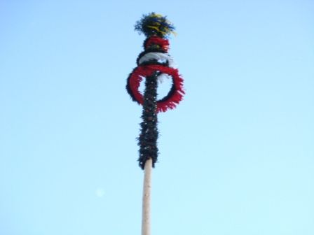 Maibaum - Aufstellen - 