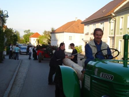 Maibaum - Aufstellen - 