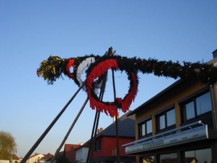 Maibaum - Aufstellen - 