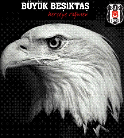 bjk - 