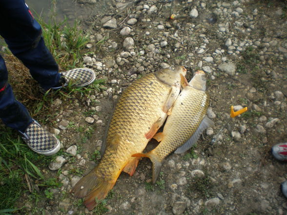 big catches ;) - 