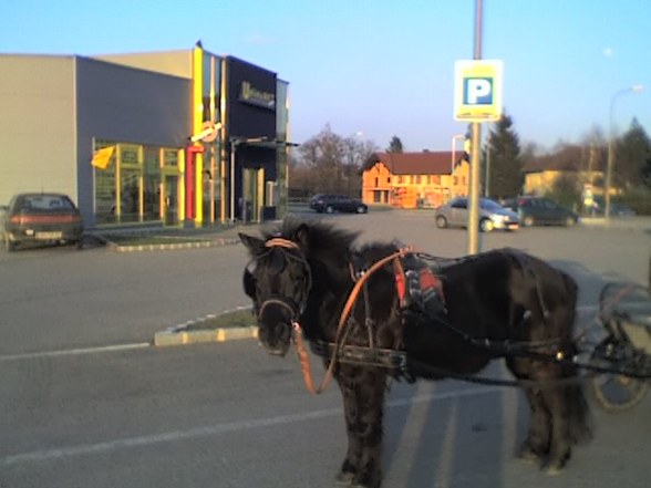 PfErDe - 