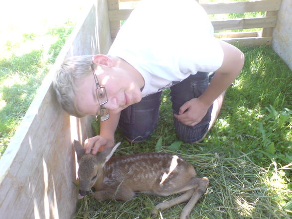 Unser Bambi - 