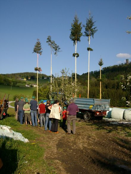 Maibaum stöhn - 