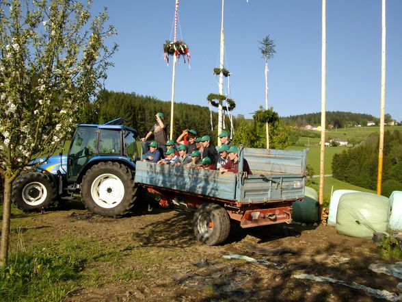 Maibaum stöhn - 