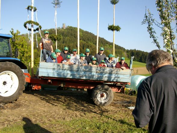 Maibaum stöhn - 