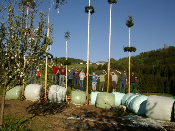 Maibaum stöhn - 