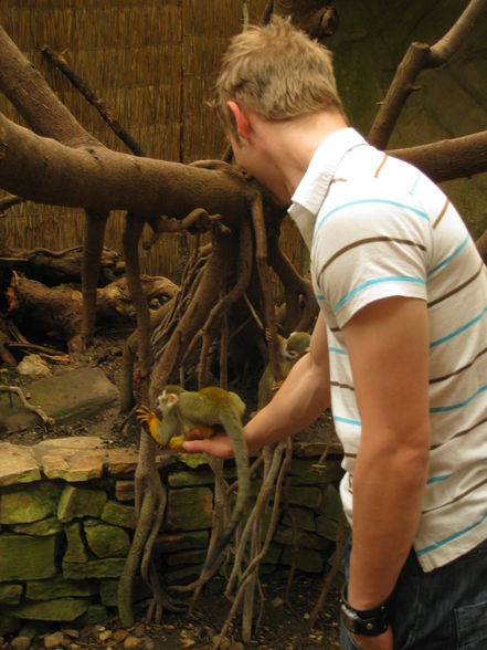 Tierpark Schmieding - 