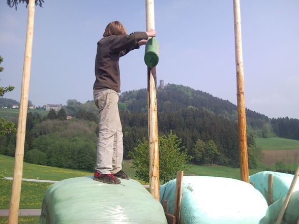 Maibaum stehlen 2009 - 