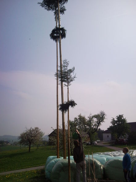 Maibaum stehlen 2009 - 