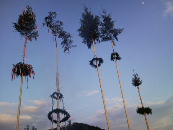 Maibaum stehlen 2009 - 