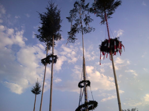 Maibaum stehlen 2009 - 