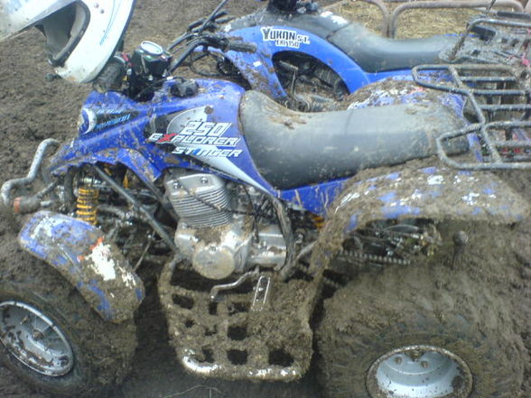 my pictures - 