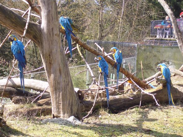 Tierpark Schmieding - 