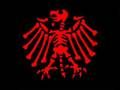 die toten hosen - 