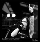 Bullet for my Valentine - 