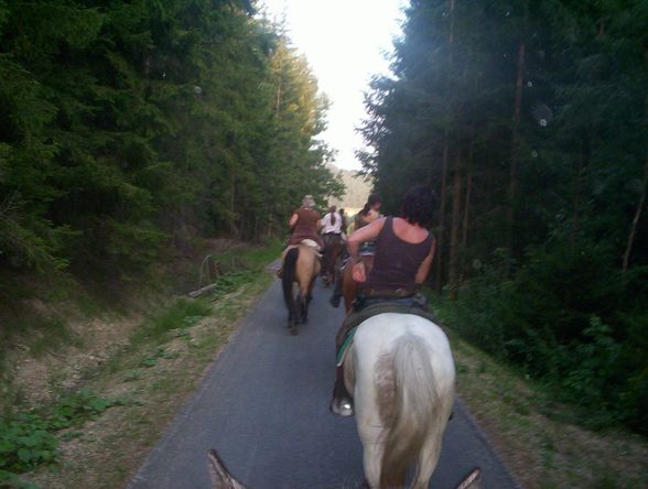 Western-Reiten im Sommer 2007 - 