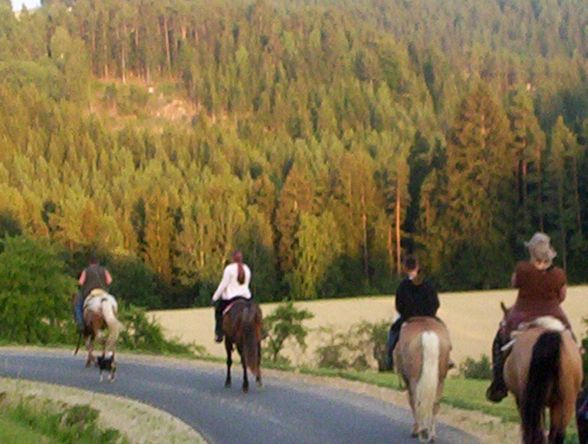 Western-Reiten im Sommer 2007 - 