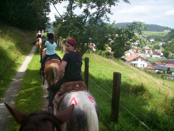 Western-Reiten im Sommer 2007 - 